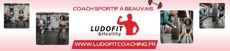 ludofit