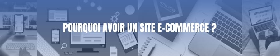 POURQUOI AVOIR UN SITE E-COMMERCE ?